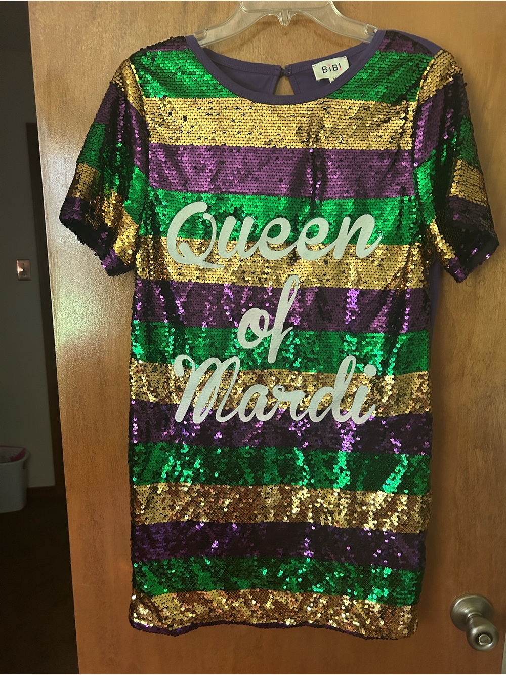 BiBi Sequin Stripe Mini Dress in Green, Purple & Gold